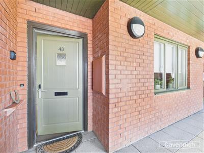 Picture 17